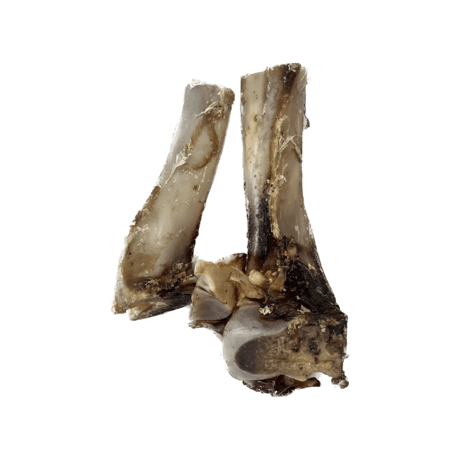 Ranger Venison Shanks