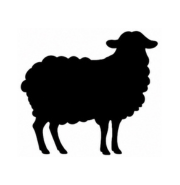 Lamb