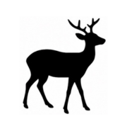 Venison