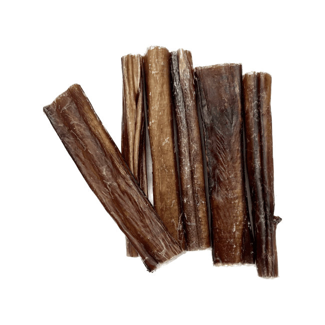 Ranger Beef Pizzle Dental Chew 15cm