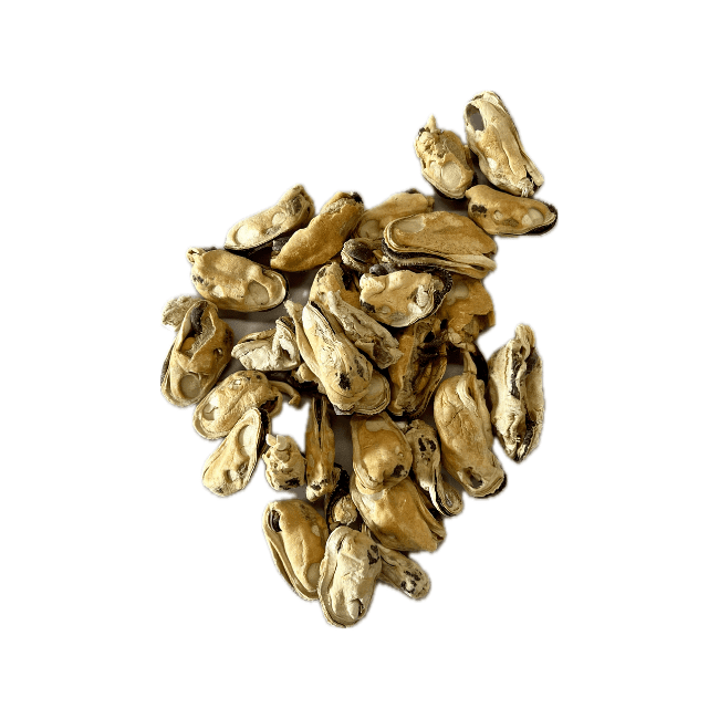 Ranger Green Lipped Mussels