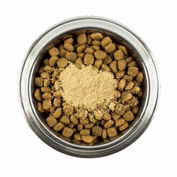 Ranger Green Lipped Mussel Power – Natural Supplement