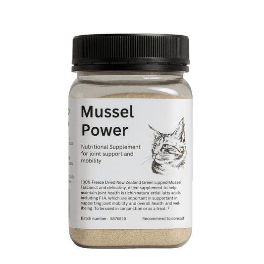 Ranger Green Lipped Mussel Power – Natural Supplement